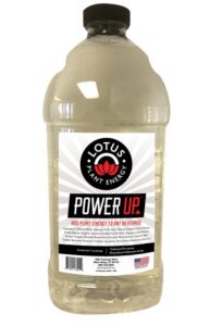 Lotus Power Up Energy Concentrate